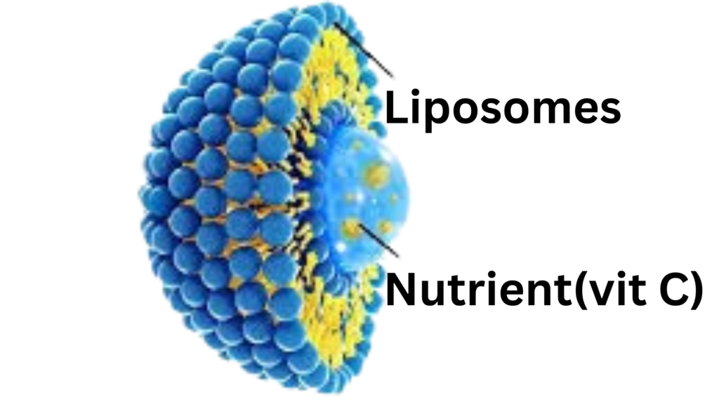 liposomal vitamin c
